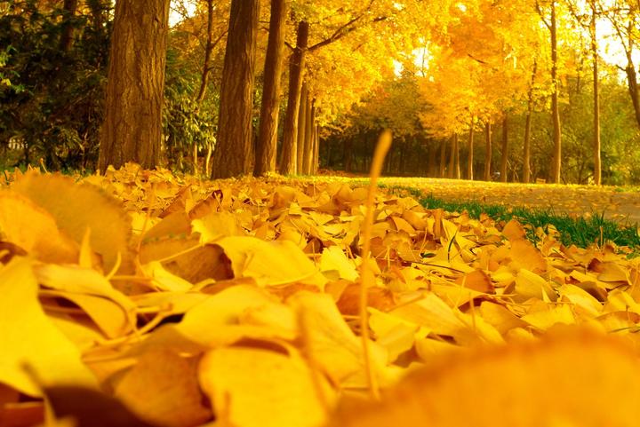 src=http___img.pconline.com.cn_images_upload_upc_tx_photoblog_1011_23_c9_5969417.jpg