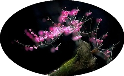 u=1066779780,1201115077&amp;fm=26&amp;fmt=auto.webp.jpg