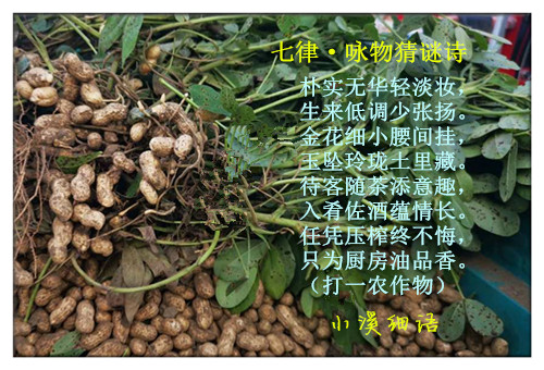 95f954fafa2b0af15b56b48f7b5db394_����.jpg
