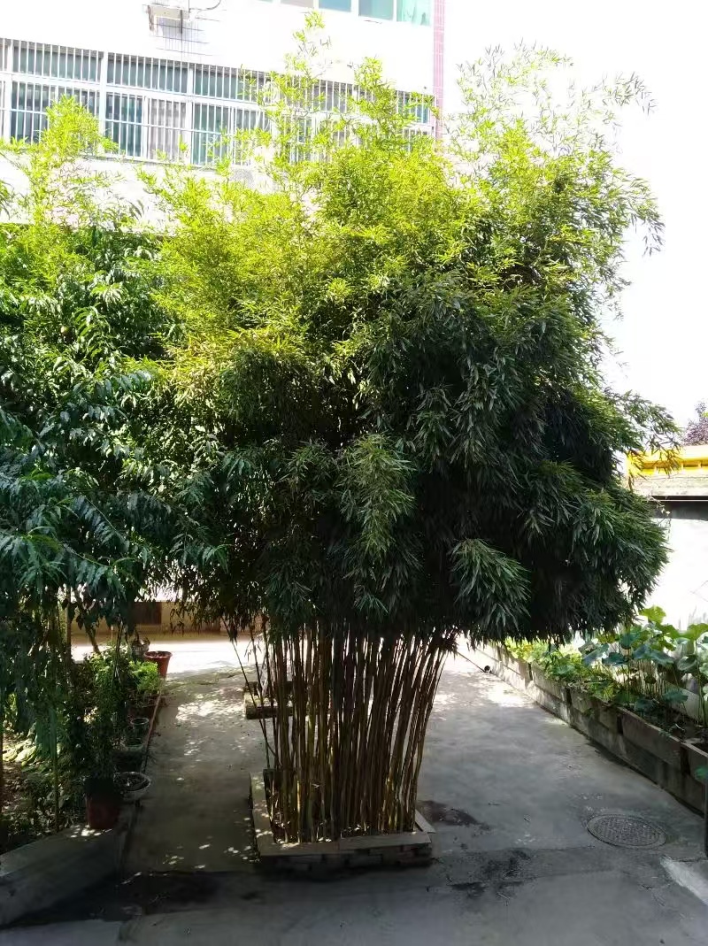 ΢��ͼƬ_20241209111239.jpg